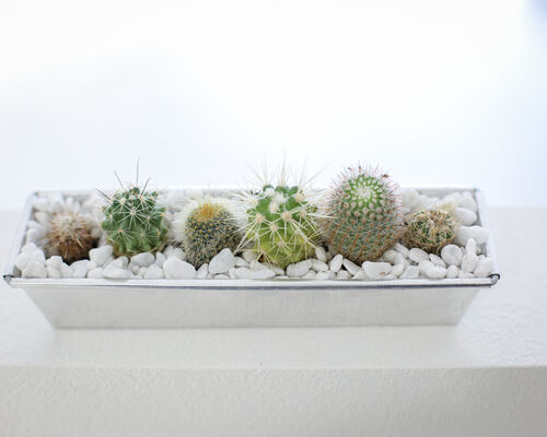 image1 (31) - コピー