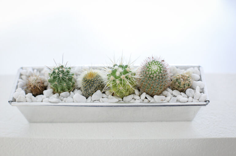 image1 (31) - コピー